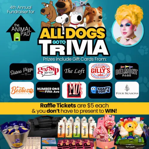 All Dogs Go To Trivia: Donation Raffle Tickets