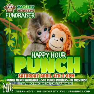 Punch Happy Hour